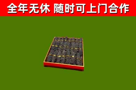 杭锦旗烟酒回收海参.jpg